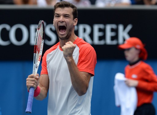 森林狼在生 森林狼在生