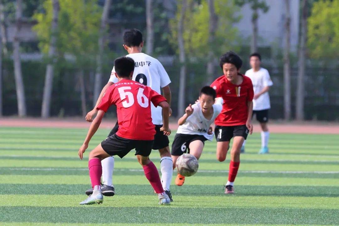嗅觉和稳定 嗅觉和稳定